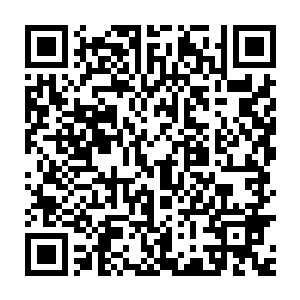 不仅仅是丹宗四宗联盟和神机宗与星域宗两宗联盟之间有着激烈地竞争二维码生成