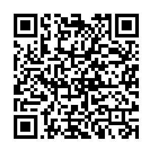 不仅仅是保护这些跟随着他从天元大陆上来的这些人二维码生成