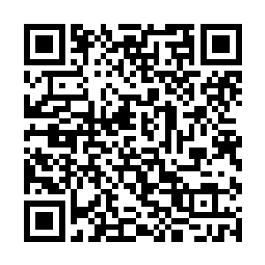 不仅仅是因为当初的时候他促和了自己和王莉两个人二维码生成