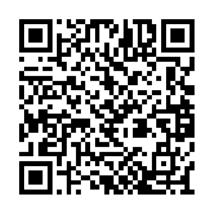 不仅仅是因为这是一个投资低回报还可以的项目二维码生成