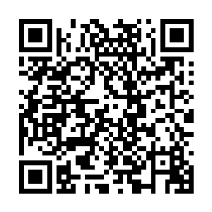 不仅仅是大西部论坛球馆所在的操场被人群所占据二维码生成