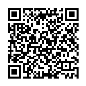 不仅仅是空中的结丹期修士和十几个飞僵纠缠在一起二维码生成