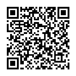 不仅仅是芝安市的那些政府官员们看到他跑去喝马桶水二维码生成