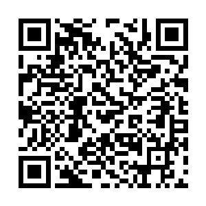 不仅出招时更加的隐蔽而且威力竟然还更深了一层二维码生成