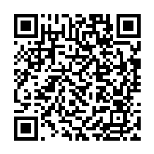 不仅可以在关键时刻召唤出黑暗龙神的投影保护自己二维码生成