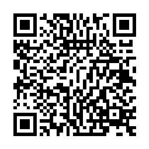 不仅可以让埃温达拉群岛的各个豪门与家族互相之间有所牵制二维码生成