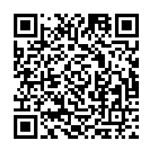 不仅听到了程家那个死在战场上的长孙的媳妇儿跑了二维码生成