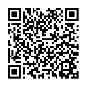 不仅因为在这样的场合上很少看到如此年轻的面孔二维码生成
