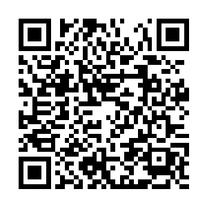 不仅在女真中枢牢牢占据了一个重要勃极烈的名义二维码生成