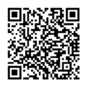 不仅如此还成功泡到了曾经觊觎已久的老总女儿赵小雅二维码生成