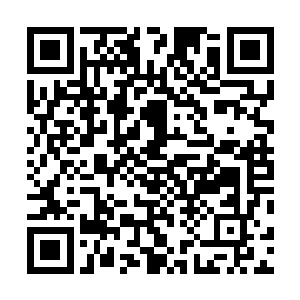 不仅将附近一些隐世家族以及上古世家的圣王吸引了过來二维码生成