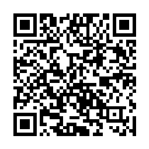 不仅态度好的不得了而且还争着送苏落海族的小礼物二维码生成