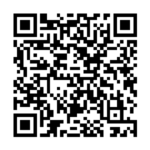 不仅抓了他昔日在江南省任职时一手提拔起来的于一涵二维码生成