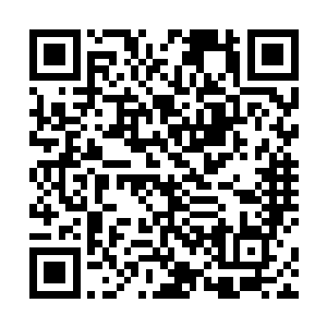 不仅是墨河城即使整个杞子郡也不会有人出得起这个价二维码生成