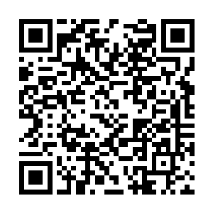 不仅是成为玄学界宗门世家与国家政府的沟通桥梁二维码生成