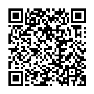 不仅是明天早起能看到她的围脖粉丝多出七位数……最重要的是二维码生成
