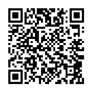 不仅是那个罗天上仙中期魔族修士被轰成了齑粉二维码生成
