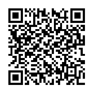 不仅智为科技的数据监控表明下载安装量已经过亿二维码生成