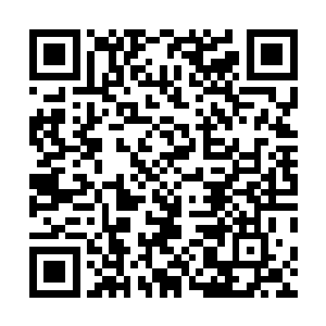 不仅有我们英勇无畏的人民子弟兵和全国人民的一同支持二维码生成