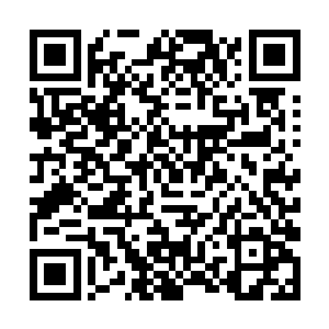 不仅每个月仓北县中医院给我发一笔不少的实习工资二维码生成