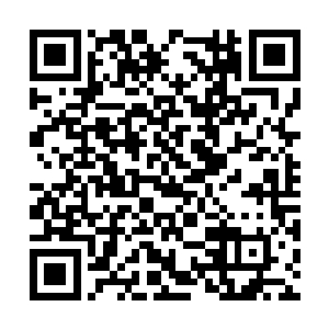 不仅瑞典皇家医院的院长副院长带着一批高层过来二维码生成