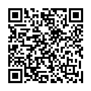 不仅短短的时间内实力就已经几乎超越他的父亲地狱主宰二维码生成