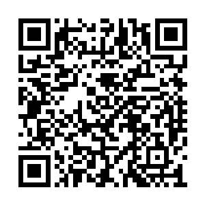 不仅能知道当时她们已经安全降临在了某个地方二维码生成