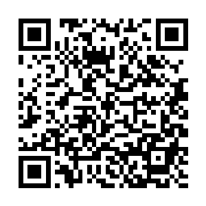 不仅蕴含了他利用十二都天神煞大阵吞噬的强大力量二维码生成