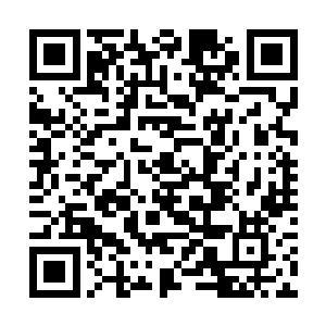 不仅请到了市长而且还有电视台以及电影名星的参与二维码生成