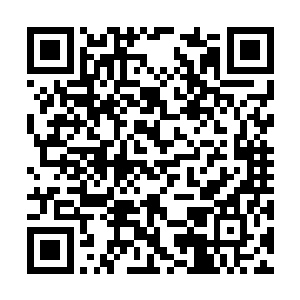 不仅身上那厚重的鳞甲被轰出了一个又一个的血洞二维码生成