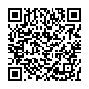 不仅镇住了场中数十名来自各大顶尖势力的天骄二维码生成