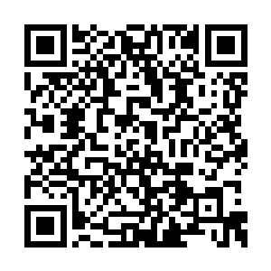 不仅顺利拿回了原本所有属于法雷尔家族的领地二维码生成