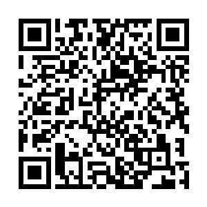 不代表就可以心安理得的接受服从命令行事所带来的后果二维码生成