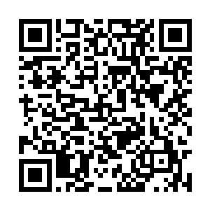 不会乱花钱对着丈夫跟自己这个婆婆是实打实的好二维码生成