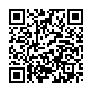 不会因为一时没有收获便暴躁放弃二维码生成