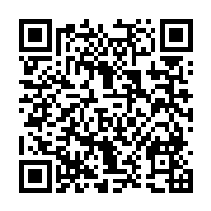 不会对秦方造成什么损伤的……至于秦方反手一击二维码生成