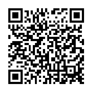 不会是你已经找到了合适的山地种植我们需要的植被了吧二维码生成