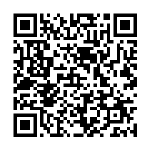 不会是我们杨总在外面风流快活留下来的私生子吧二维码生成