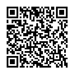 不会是知道她送了一盆茶梅到国公府所以气病了二维码生成