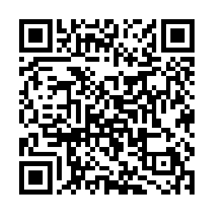不会有人冒着有可能得罪闻人家族的危险去帮助仇家二维码生成