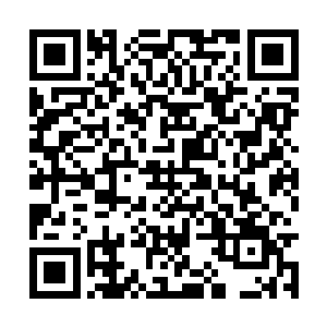 不会有其它任何妖兽和它们同时出现在同一片水域二维码生成