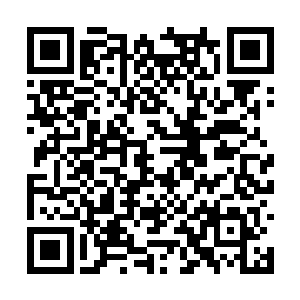 不会等到她离开了府邸再找一个亡命之徒对付她的二维码生成