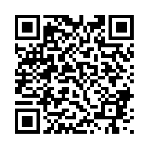 不会这样一直追着他一个要打要杀二维码生成