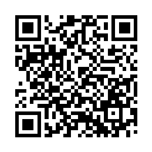 不但交出了域内宝库还有域内修士名册二维码生成