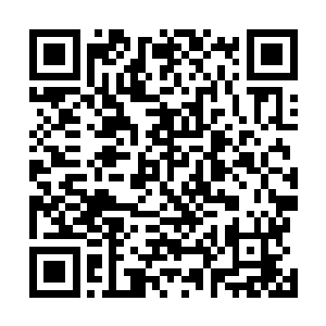 不但多了一副记载着包括万里雪原在内的广大北域的地图二维码生成