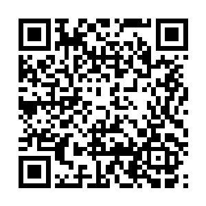 不但成就了秦渭这位电影大师国内电影导演第一人的荣耀二维码生成