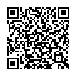 不但战斗傀儡和微型无人机大军都受到严重干扰二维码生成