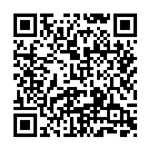 不但是因为杨风永恒焦点这一招攻击的速度太快二维码生成