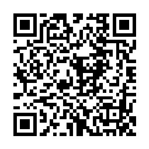 不但认真听取了宋州市委市zhengfu对未来三年城市建设规划二维码生成