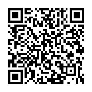 不停的想要通过门的缝隙向里面看到底怎么样了二维码生成